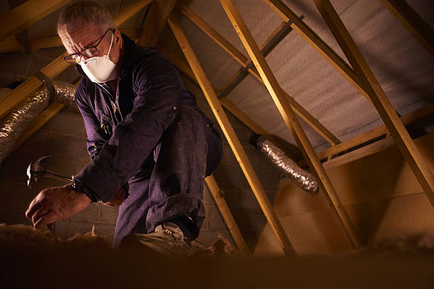 Types of Insulation We Offer in Linglestown, PA