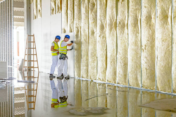 Best Insulation Maintenance and Repair in Linglestown, PA